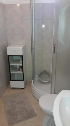 a bathroom with a shower and a toilet and a sink at Anka's Beach in Komiža