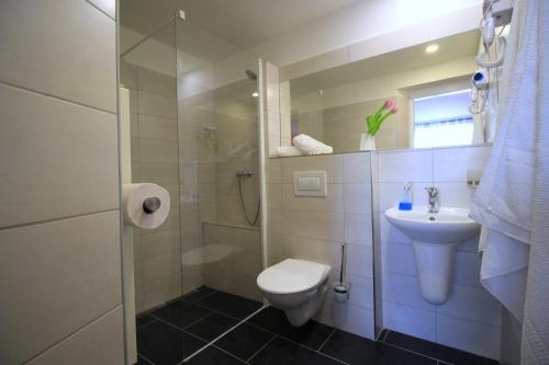a bathroom with a shower and a toilet and a sink at Penzion David in Třešť