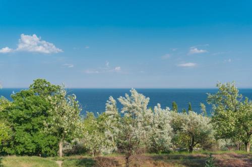 a group of trees with the ocean in the background at Authentic Odessa Dacha in Odesa