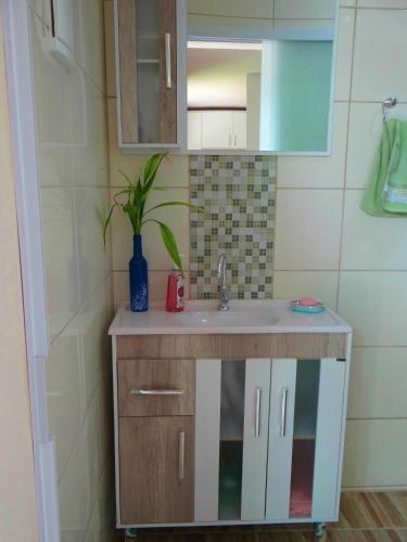 a bathroom sink with a potted plant on it at Residencial Recanto Paraíso BC - Flat in Balneário Camboriú