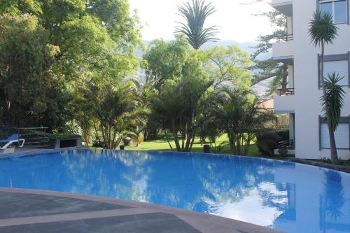 Swimmingpoolen hos eller tæt på Jasmineiro - Palms Palace Apartment
