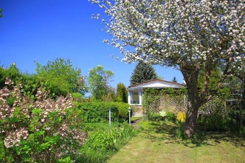 Zahrada ubytování Mitten im Seenland und Spreewaldnah, schöner Garten