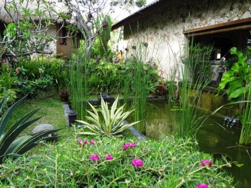 a garden with a pond and some plants at Villa Anjing in Nusa Dua