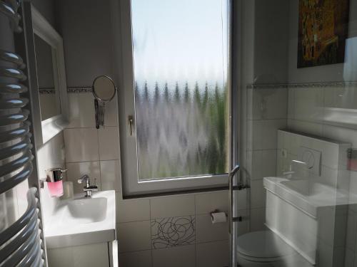 een badkamer met een wastafel, een toilet en een raam bij Kaisers Eck Ferienwohnung in Ahlbeck