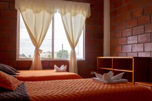 1 dormitorio con 2 camas y ventana en Hostal Cattleya, en Puerto Baquerizo Moreno