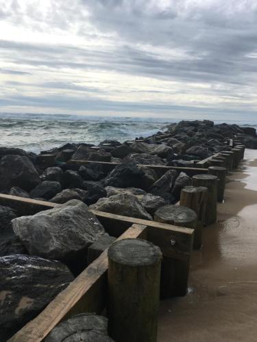 a row of rocks on a beach with the ocean at Résidence Mes Amours d'Enfants - Les Villas du Lac in Soustons