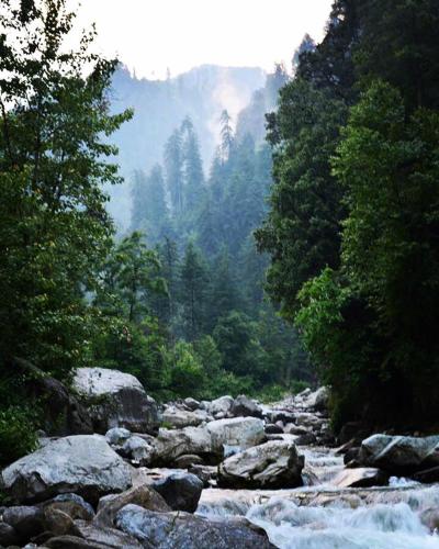 a river with rocks and trees in a forest at Tirthan Anglers' Retreat in Banjār