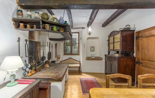 a kitchen with a counter and a table in a room at Apartment Kuharić in Grožnjan