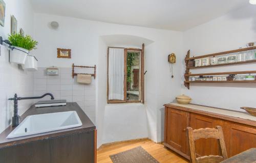 a kitchen with a sink and a counter at Apartment Kuharić in Grožnjan