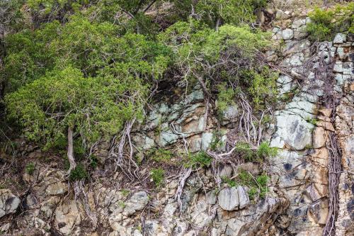 a rocky mountain with trees and plants on it at Klaserie Drift Misava in Klaserie Private Nature Reserve