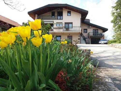 un montón de tulipanes amarillos delante de un edificio en Apartments Strmac, en Slunj