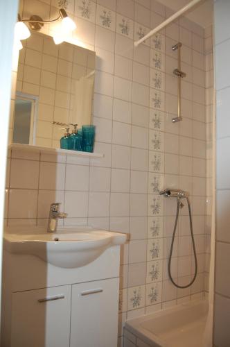 a bathroom with a sink and a shower with a mirror at Nia Apartment in Jadranovo