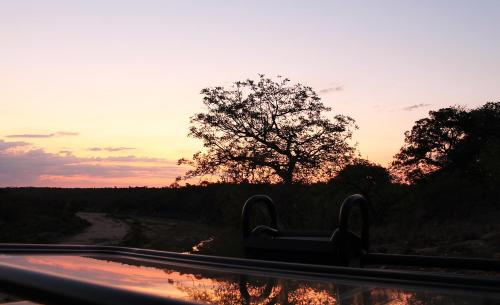 a sunset over a road with a tree on the side at Klaserie Drift Misava in Klaserie Private Nature Reserve