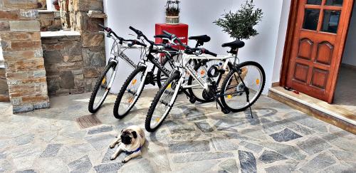 Attività di ciclismo presso l'aparthotel o nelle vicinanze