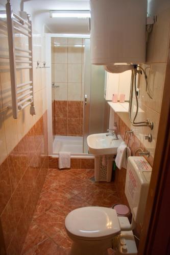 a bathroom with a toilet and a sink and a shower at Apartment Baćo in Split