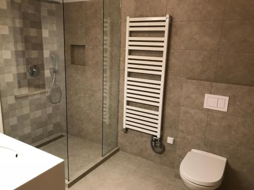 a bathroom with a shower and a toilet and a sink at Dom Mazurski Tumiany 3 B in Tumiany