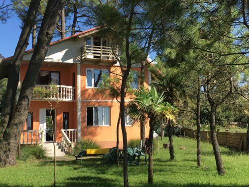 a house with a lot of trees in front of it at Villa Shekvetili in Shekhvetili