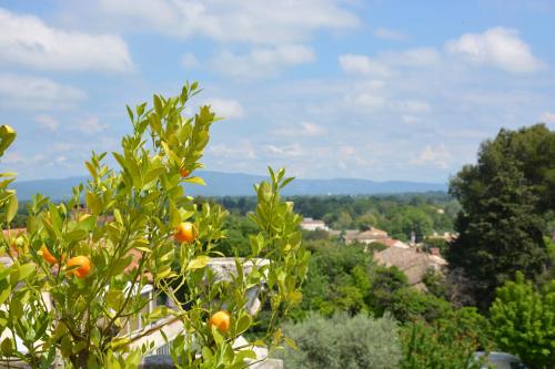 an orange tree with a view of a city at Le Petit Chateau in Châteauneuf-de-Gadagne
