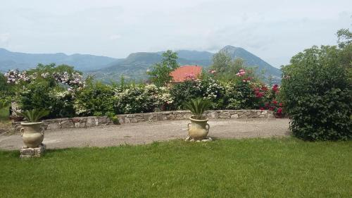 a garden with two vases with plants in the grass at B&B Casa di Laura in Benevento