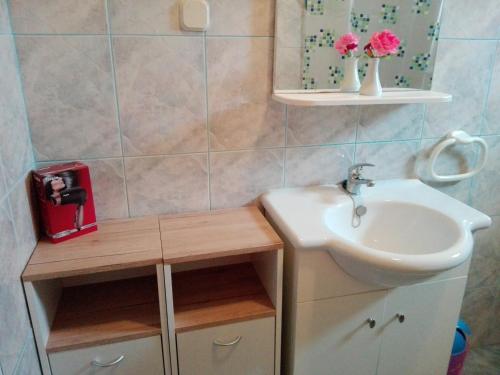 ein kleines Bad mit einem Waschbecken und einem Spiegel in der Unterkunft Apartment Alina in Umag