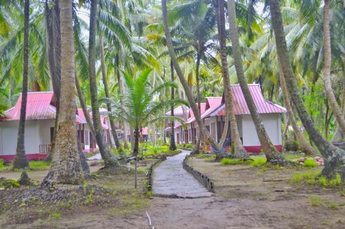 a path in front of a resort with palm trees at Crossbill Beach Resort in Havelock Island