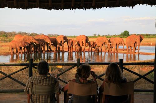 Voi Wildlife Lodge – Photos 2