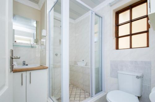 a bathroom with a shower and a toilet and a sink at Walmer Villiers Self Catering in Port Elizabeth