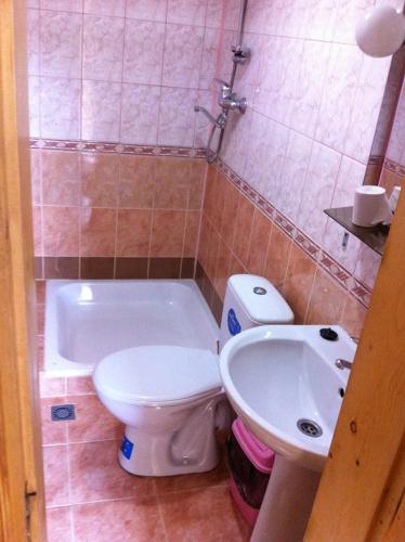 a bathroom with a toilet and a sink at Sykytura in Sheshory