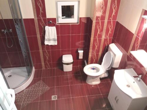 une salle de bain avec toilettes, lavabo et douche dans l'établissement Casa Alex, à Gîrda de Sus