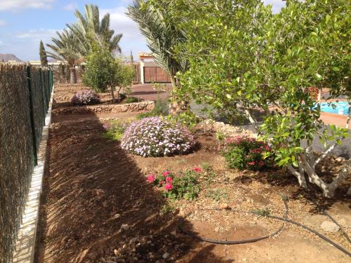 a garden with pink flowers and a fence at Villa Oliva Fuerteventura in Tuineje