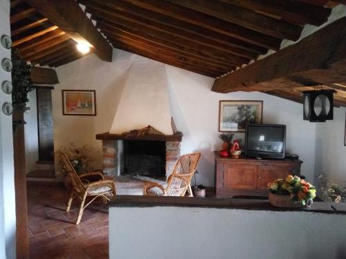 a living room with a fireplace and a tv at Casa Vacanze del Borgo in Sassetta