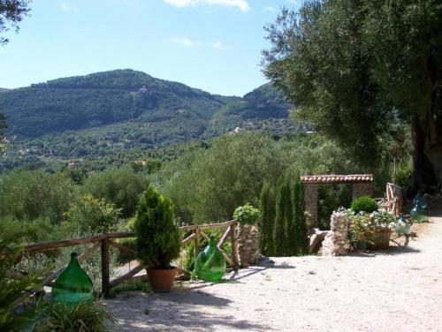 einen Garten mit Topfpflanzen und einem Holzzaun in der Unterkunft Agrestis Domus in San Giovanni a Piro