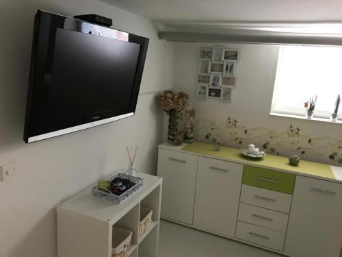 Televízia a/alebo spoločenská miestnosť v ubytovaní Apartment Drava