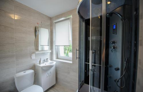een badkamer met een toilet, een douche en een wastafel bij Apartamenty Crystal in Ciechocinek
