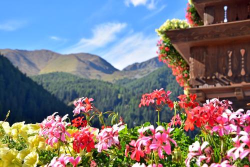 un mazzo di fiori con montagne sullo sfondo di Pension SONNECK a Valles