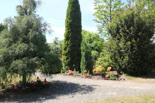 Ferienwohnungen Stark – Photos 4