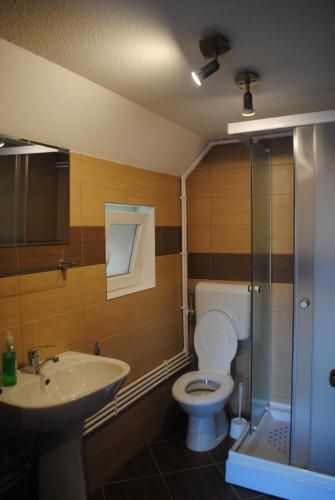 a bathroom with a toilet and a sink and a shower at Pensiunea Ivanciu Bogdan in Praid