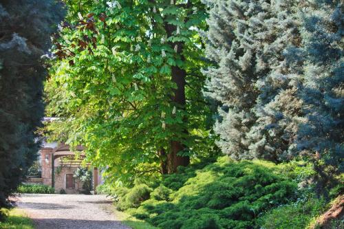 a path in a garden with trees and bushes at Tenuta Terensano in Monleale