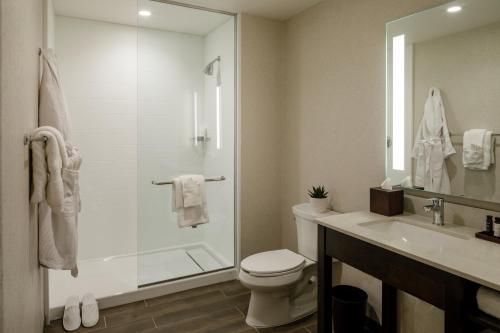 a bathroom with a shower and a toilet and a sink at Hotel Madison & Shenandoah Conference Ctr. in Harrisonburg