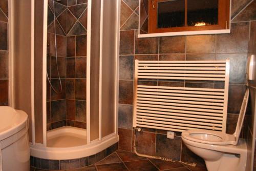 La salle de bains est pourvue de toilettes et d'une douche. dans l'établissement Penzion Pohoda, à Lultsch