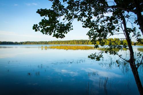 Naturlandschaft in der Nähe des Ferienhauses