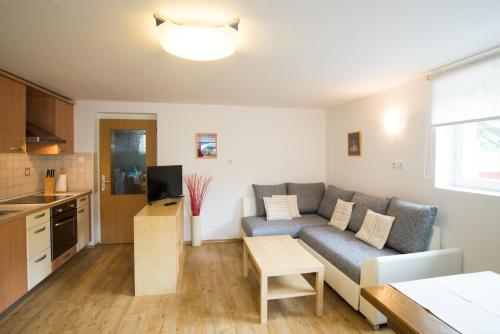 ein Wohnzimmer mit einem Sofa und einer Küche in der Unterkunft Apartment Ani in Bled