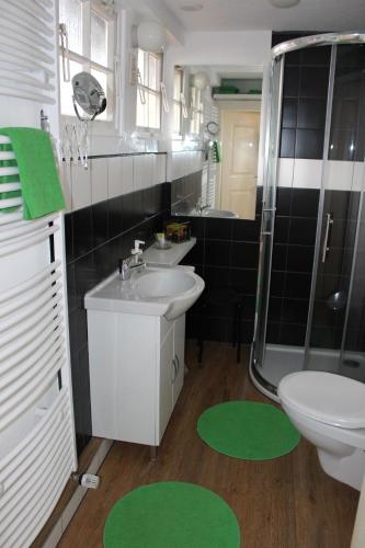 a bathroom with a sink and a toilet and a shower at Zuhause mit nordischen Charme in Clausthal-Zellerfeld