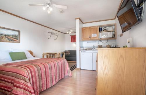 Kuchyň nebo kuchyňský kout v ubytování Gateway Motel