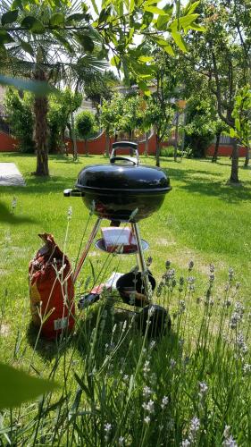 a barbecue grill sitting in the grass in a park at Casa del Vigneto in Spinea