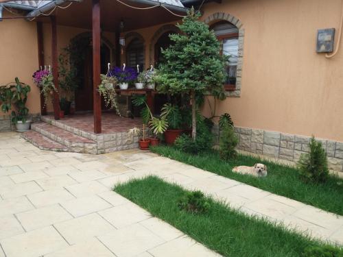 Сад в Casa Crinei