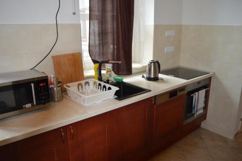 ブダペストにあるFlower Apartmentのキッチン(シンク、電子レンジ付)