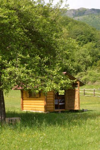 a small cabin in a field with a tree at Camp &Apartmens Scepanovic in Mojkovac