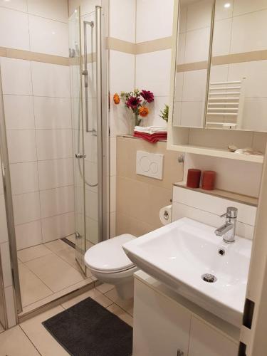a bathroom with a shower and a toilet and a sink at Ferienwohnung Finkenweg in Bad Neuenahr-Ahrweiler
