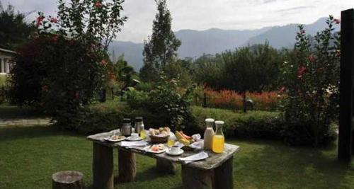 Cảnh núi rừng hoặc tầm nhìn ra núi từ resort